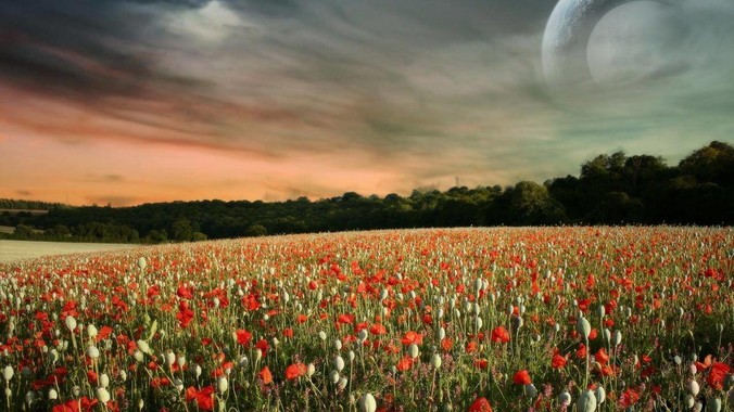 你的亲戚提过什么过分的要求？